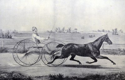 Currier＆Ivesイラスト19世紀。フローラ神殿 作： N. and Ives, J.M. Currier